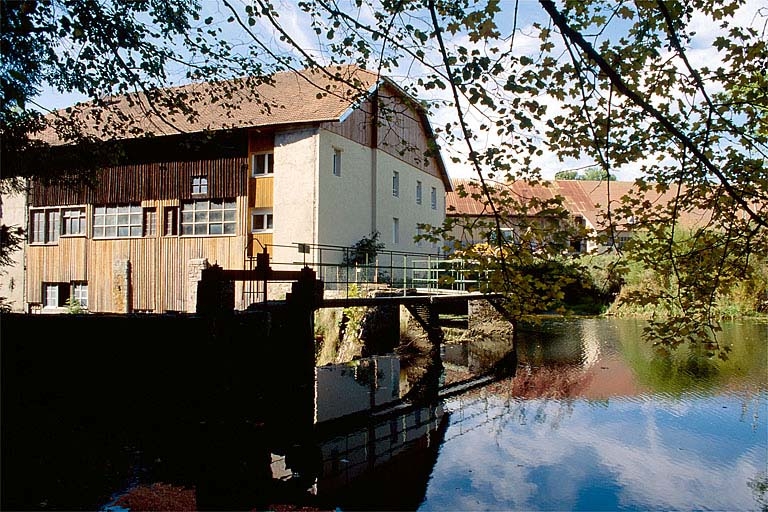 moulin à farine dit moulin Choudet, usine de taille de pierre pour la joaillerie et l'industrie (usine de taille du diamant), scierie, usine de menuiserie (parqueterie), usine de boissellerie