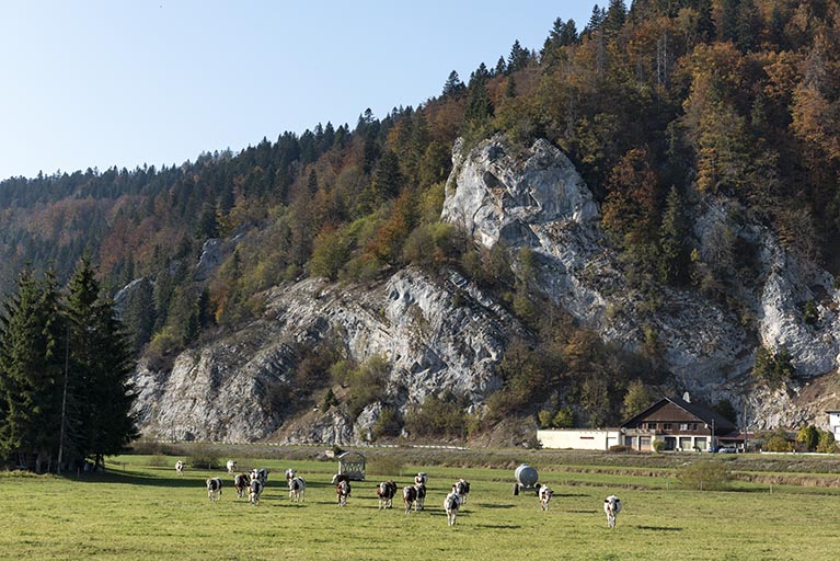 carrière puis fromagerie industrielle dite cave d'affinage Rième
