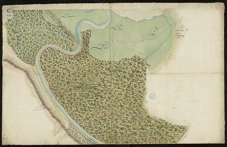 La Saône navigable en Bourgogne-Franche-Comté
